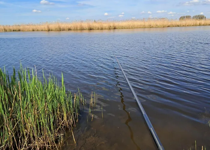 بيت للعطل Ferienchalet An Der Grenze Zwischen Brabant Und Zeeland By Interhome *